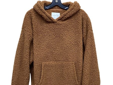 Sweatshirt Hoodie By American Eagle In Brown, Size: M Discount