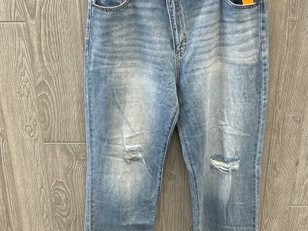 Jeans Boot Cut By Kancan In Blue, Size: 16 Online Hot Sale