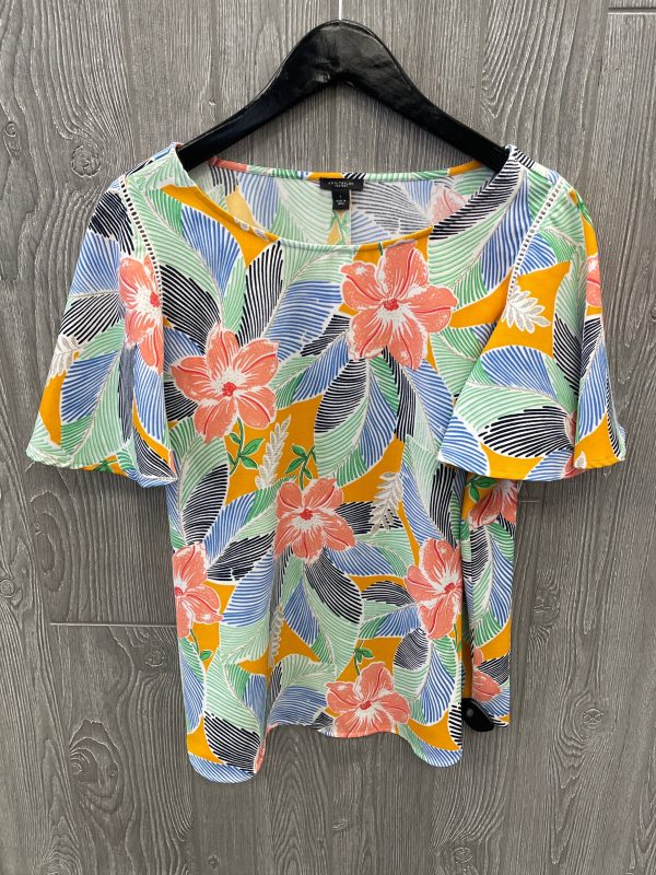 Blouse Short Sleeve By Ann Taylor In Multi-colored, Size: L on Sale