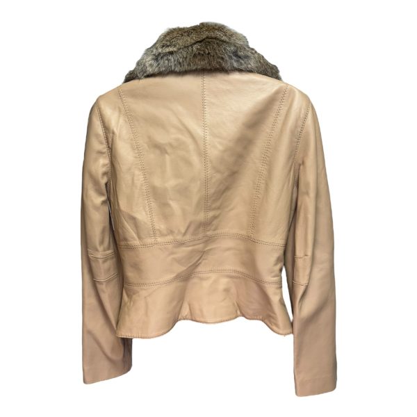 Fur Collar Jacket Leather By Siena Studio In Tan, Size: S Hot on Sale